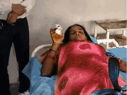 महिला को एंटी स्नेक वेनम के 35 इंजेक्शन लगाए गए।
