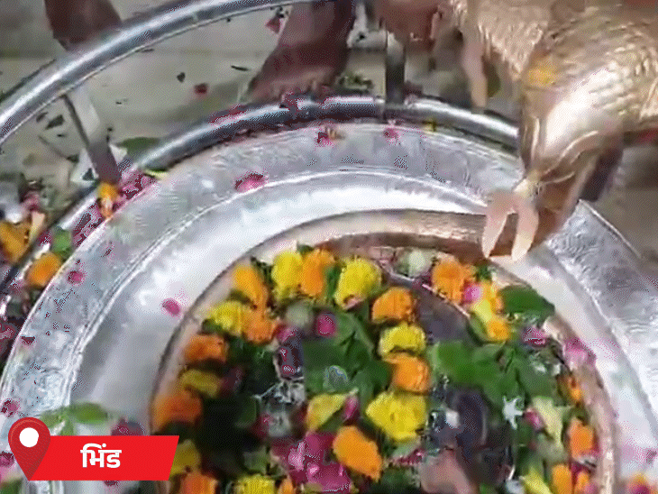 अटेर के बौरेश्वर महादेव मंदिर में रात 12 बजे से तड़के तक महारुद्राभिषेक किया गया।