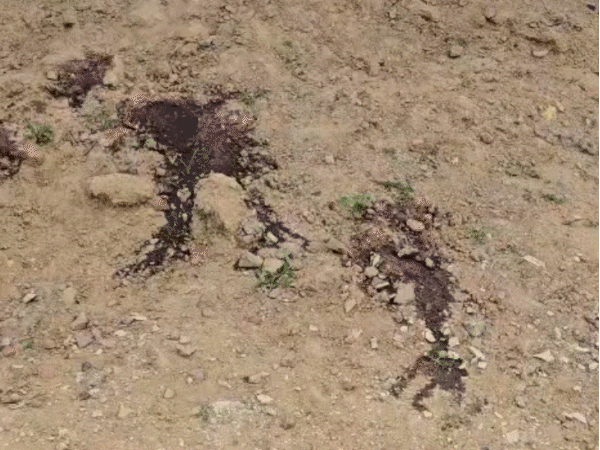 Blood was spread at the crime scene. Cartridges were also found