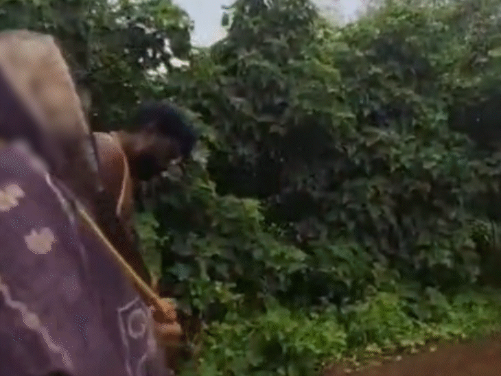 In Barwani, a girlfriend and boyfriend were tied with a rope and paraded