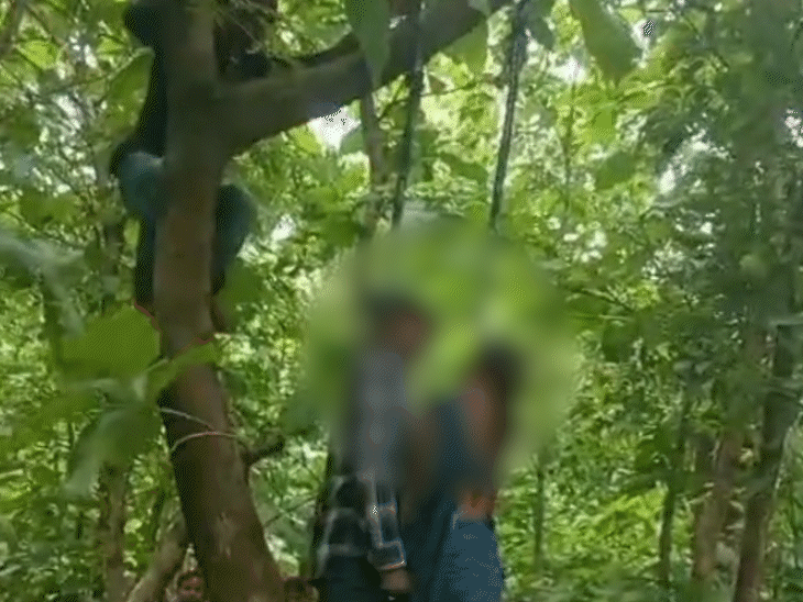 Brother-in-law and sister-in-law hanged themselves in the Nagin Mod Peepal forest located in Bari.