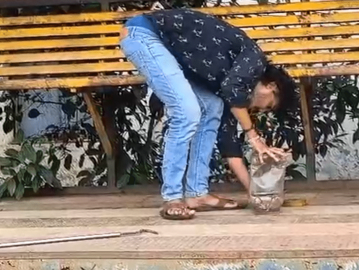 टूटे डिब्बे से कोबरा बाहर निकल आया और अमन के पैर में डंस लिया।