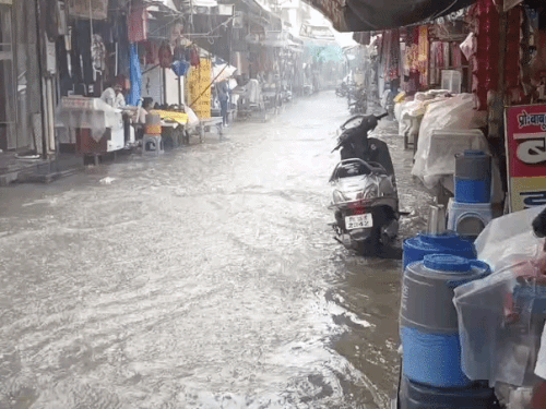 उमस से राहत, सामान्य से 9% कम बरसात; किसानों के खिले चेहरे|नारनौल,Narnaul - Dainik Bhaskar