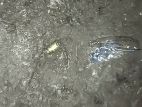 घटनास्थल पर बरामद गोलियों के खोल।