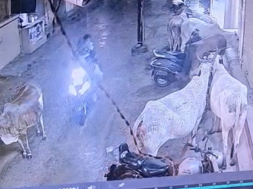 CCTV में बच्ची को एक्टिवा से ले जाते दिखे आरोपी