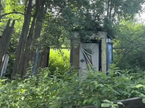 युवक ने वीडियो में अपना टॉयलेट दिखाया, जिसमें दरवाजा भी ठीक नहीं है।