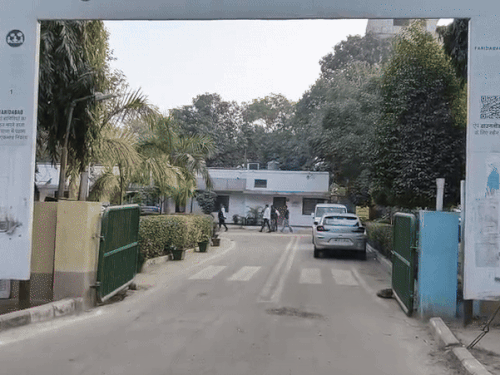 फरीदाबाद निगम ने पेड़ों की छंटाई के लिए खरीदी थी; मांगी रिपोर्ट|फरीदाबाद,Faridabad - Dainik Bhaskar