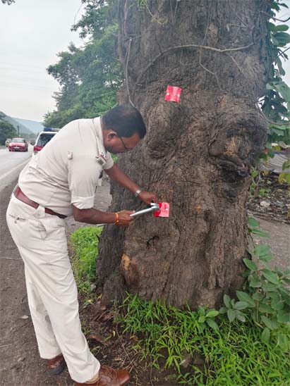 कई मुख्य मार्गों को चिन्हित करने के बाद रेडियम रिफ्लेक्टर लगाया जा रहा है