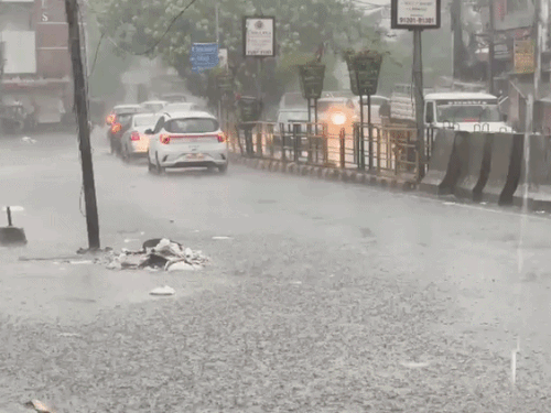 जालंधर में गुरुवार सुबह तेज बारिश हुई।