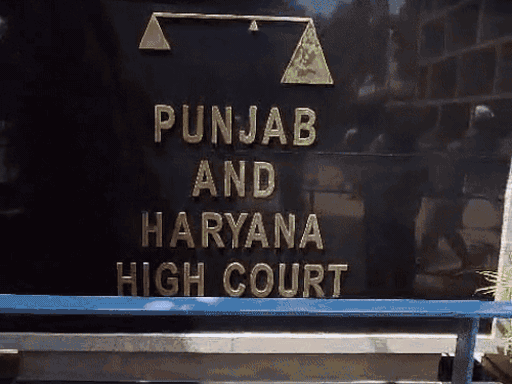 पंजाब एंड हरियाणा हाईकोर्ट ने गेस्ट टीचर को लेकर सरकार की एलपीए डिस्पोज कर दी। - Dainik Bhaskar