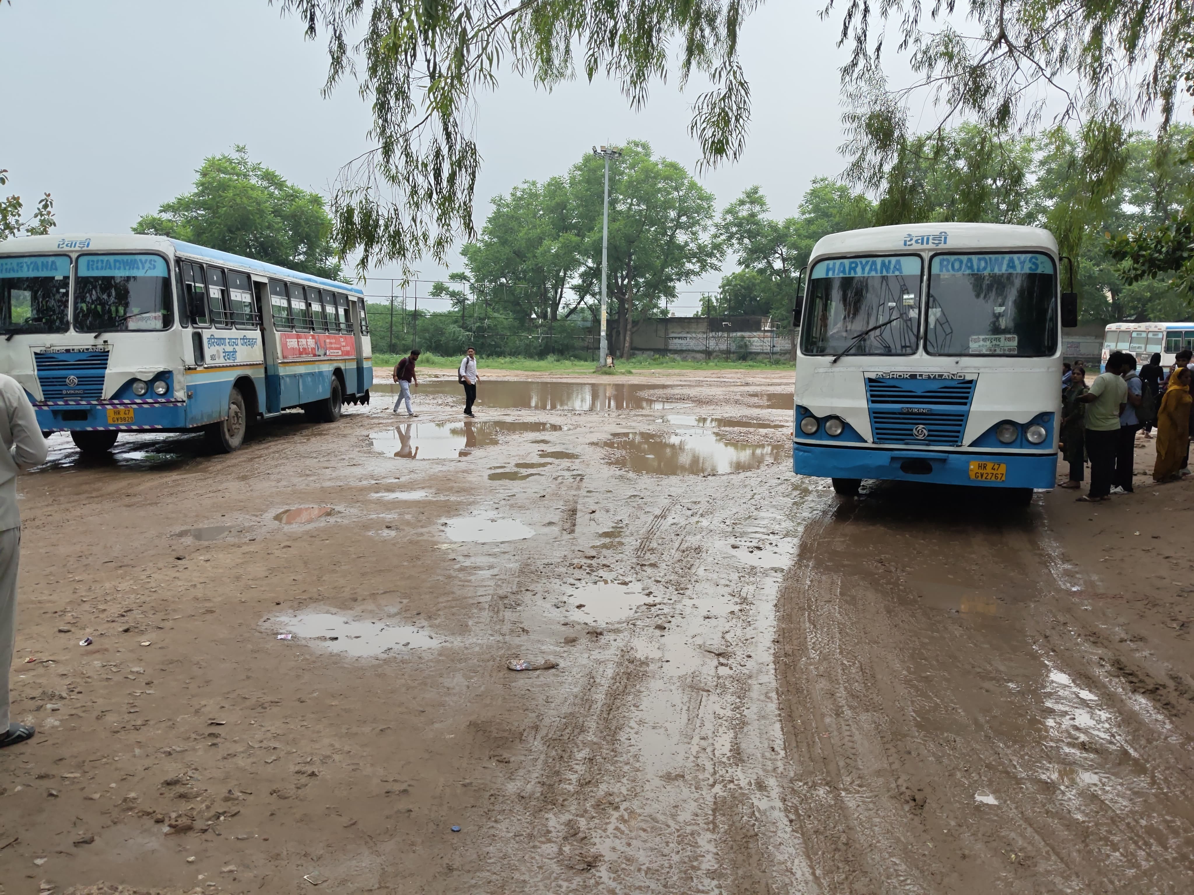 कनीना बस स्टैंड पर खड़ी रोडवेज की बसें।