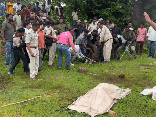 रायपुर से आई टीम ने भालू को बेहोश करके पकड़ा।