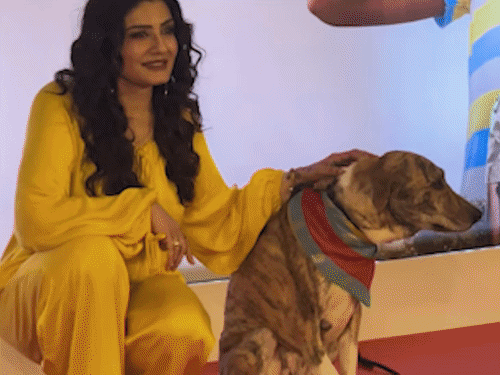 Raveena posing with the dog during the event.