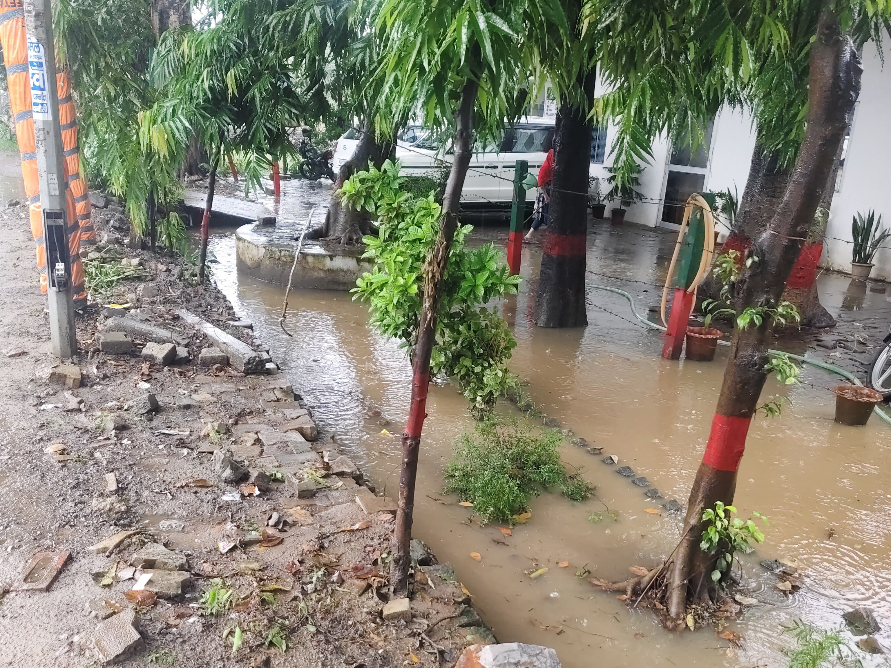 लगातार बारिश के कारण वन विभाग ऑफिस में भी जलभराव हो गया।