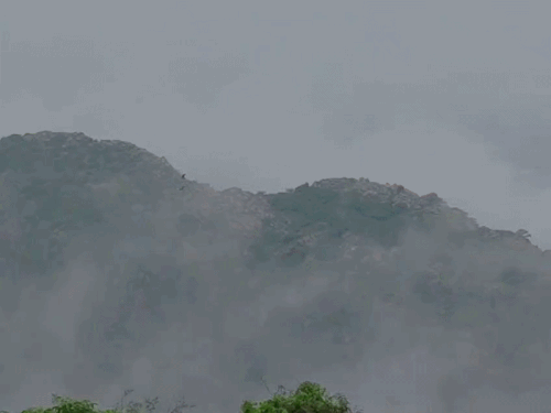 आज से आंधी के साथ बारिश का अलर्ट; बादल छाने से मौसम सुहावना|अलवर,Alwar - Dainik Bhaskar