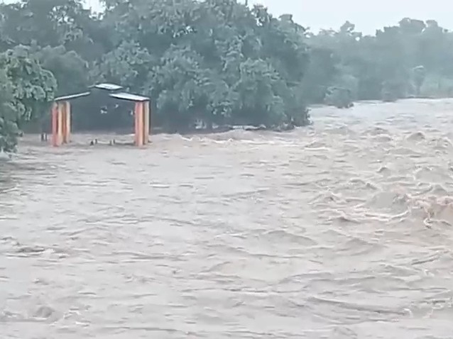 भू-अभिलेख शिवपुरी के अधीक्षक के अनुसार जिले की सामान्य औसत वर्षा 816.3 मिमी है।