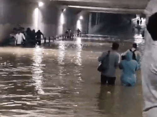 फरीदाबाद में मेवला महाराजपुर अंडरपास में भरा पानी। प्रशासन ने इसे बंद कर दिया है, लेकिन लोग पैदल ही इसे पार कर रहे है।