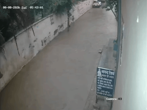 रोहतक में हेफेड की दीवार बारिश में ढह गई। गनीमत रही कि कोई उसकी चपेट में नहीं आया।