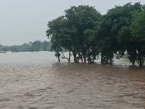 खेतों में खड़ी फसलों को बड़े पैमाने पर नुकसान होने की आशंका है।