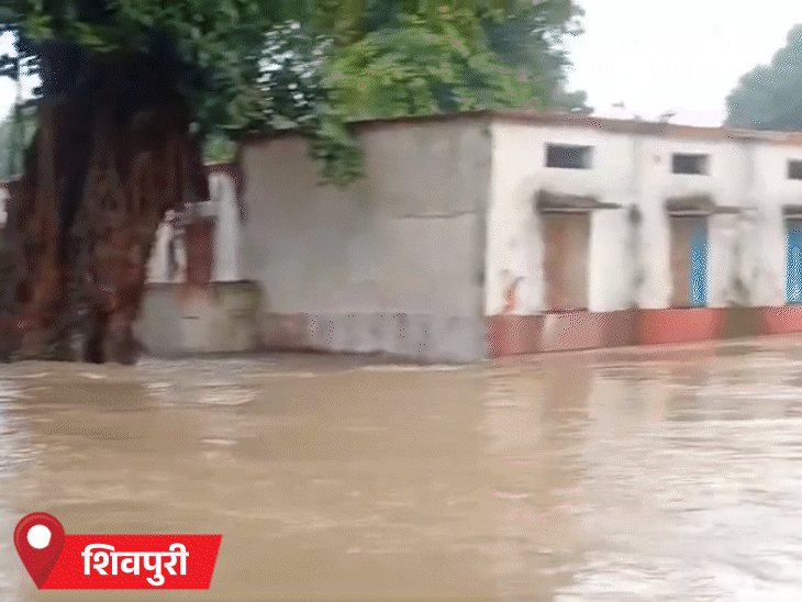 जिले में शुक्रवार रातभर बारिश से बाढ़ से हालात हैं। एक स्कूल में पानी भर गया।