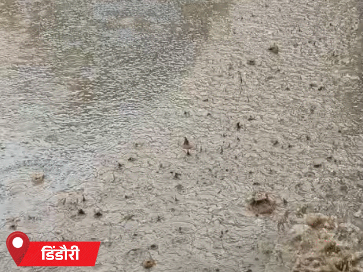 डिंडौरी में एक सप्ताह बाद आधे घंटे तेज बारिश हुई।