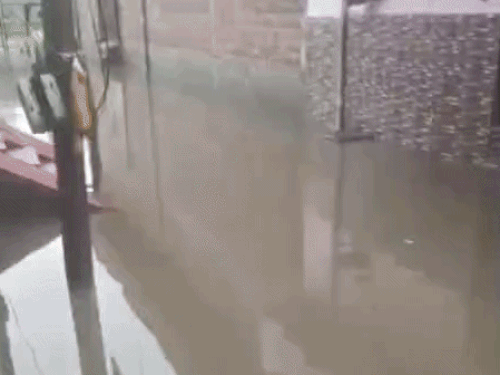 कृष्णा कॉलोनी की गली में भरा पानी।