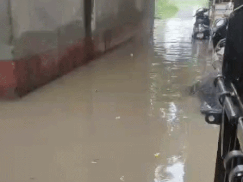 कृष्णा कॉलोनी की गली में भरा पानी।