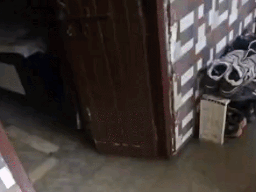 कृष्णा कॉलोनी में घर के अंदर भरा पानी।