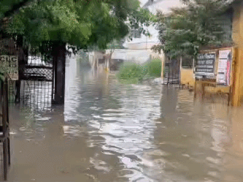 मॉडल टाउन की गलियों में भरा पानी।