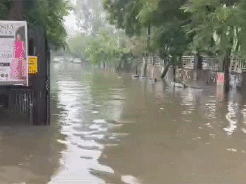 डबल पार्क के बाहर गली में भरा पानी।
