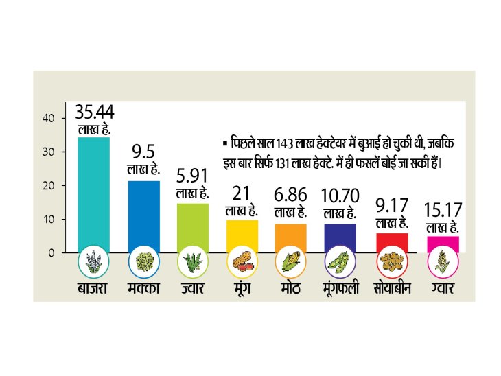 प्रदेश में खरीफ फसल की बुआई - Dainik Bhaskar