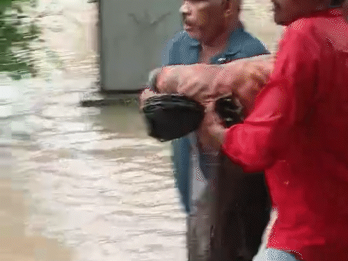 नाले में बही कार, 6 शव बरामद: गाड़ी में 11 लोग सवार थे, 2 कूदकर बाहर आए; राजगढ़ में बाकी को तलाश रही रेस्क्यू टीम - sarangpur (rajgarh) News शवों को सारंगपुर के अस्पताल पहुंचाया गया है।
