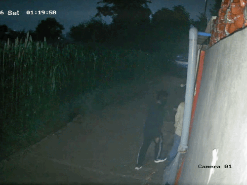 बुआ की 13वीं में मुंबई गया था मालिक; ताला तोड़कर अंदर घुसे चोर|रेवाड़ी,Rewari - Dainik Bhaskar