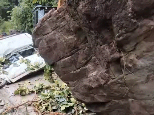 हिमाचल के शिमला-धर्मशाला NH-205 पर भराड़ीघाट के पास मंगलवार को चलती कार पर बड़ी चट्टान गिर गई। हादसे में एक व्यक्ति की मौत हो गई, जबकि 2 लोग घायल हो गए। राज्य में लैंडस्लाइड से अब तक 14 लोगों की मौत हो चुकी है।
