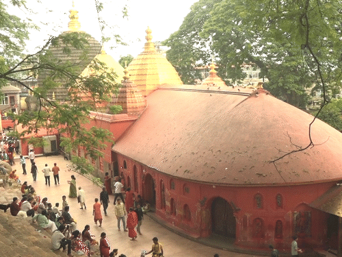 कामाख्या मंदिर कॉरिडोर के खिलाफ कोर्ट जाने वाले याचिकाकर्ता देश के अलग-अलग हिस्सों हरियाणा, कर्नाटक, महाराष्ट्र, असम और तमिलनाडु से हैं।