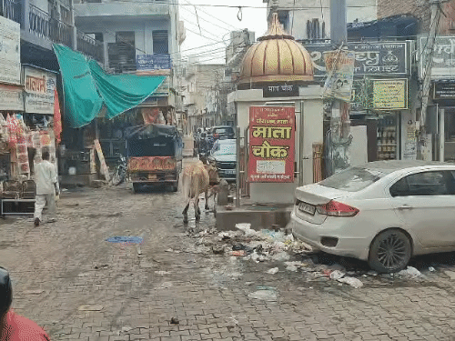This morning at Mata Chowk in Ward 17, a cow attacked the councilor's brother with its horns.