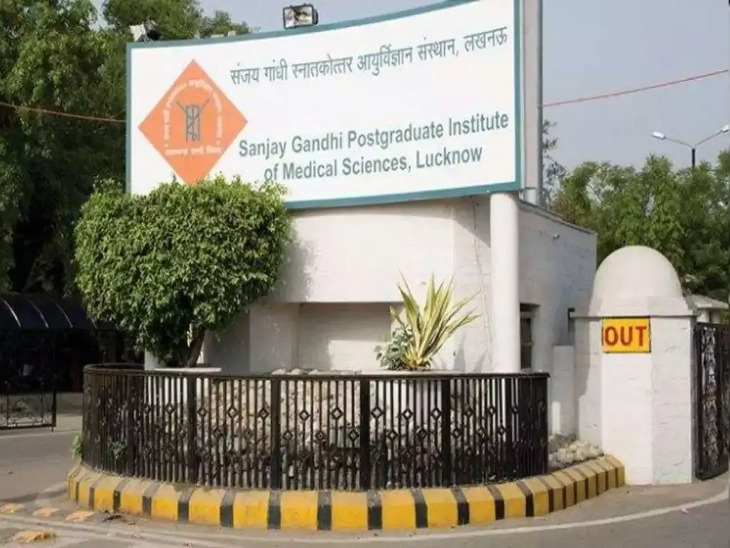 SGPGI के 8 रिसर्च प्रोजेक्ट के लिए ICMR की 20 करोड़ की मंजूरी। - Dainik Bhaskar
