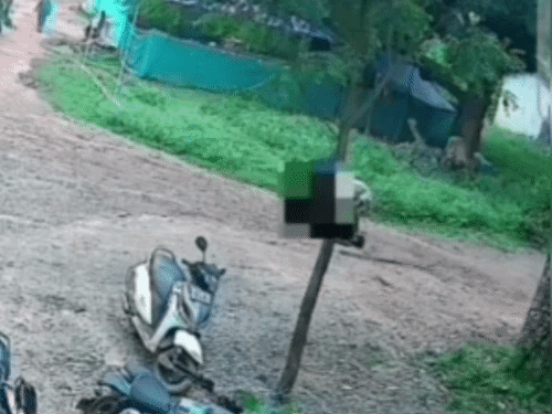 इसी बीच एक आरोपी ने पत्थर उठाकर उसके सिर पर हमला कर दिया।
