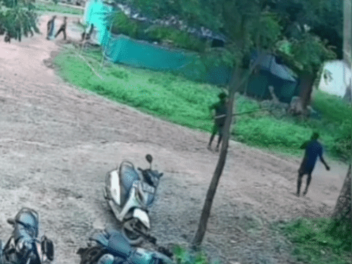 युवक ने डंडे से आरोपियों को डराने की कोशिश की।