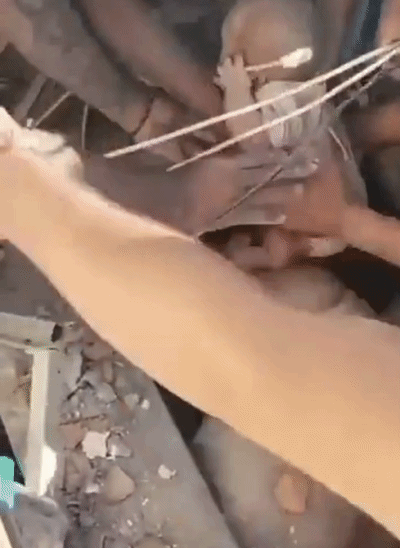 कोलंबिया में कैली शहर के ला टोरेस डेल लिमोनार रिहायशी कॉम्प्लेक्स के गिरे मलबे से बच्चे का रेस्क्यू किया गया।