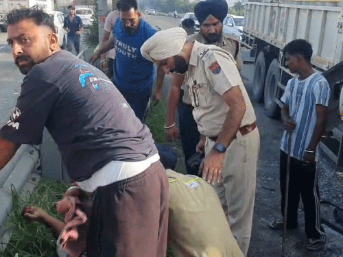 जालंधर-लुधियाना NH पर ट्रक और टिप्पर की टक्कर, हादसे में ड्राइवर गंभीर रूप से घायल हो गया। - Dainik Bhaskar