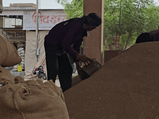 अनाज को बोरियों में भरते मजदूर।