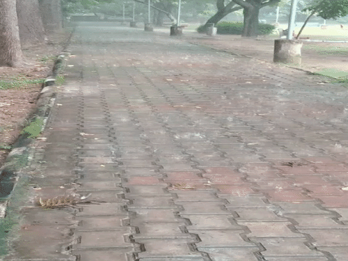 चंडीगढ़ में सुबह से तेज बारिश हो रही है।