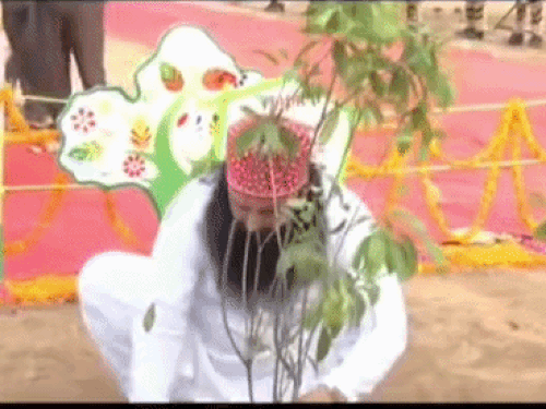 सिरसा डेरा सच्चा सौदा प्रमुख गुरमीत राम रहीम का 59वां जन्मदिन मनाया जाएगा। डेरे के दौरान पौधारोपण करते हुए का फाइल फोटो। - Dainik Bhaskar