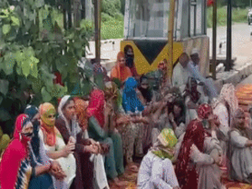 हुक्का लेकर बैठे रहे किसान संगठन, बोले- 15 अगस्त को CM के प्रोग्राम का विरोध करेंगे|हिसार,Hisar - Dainik Bhaskar