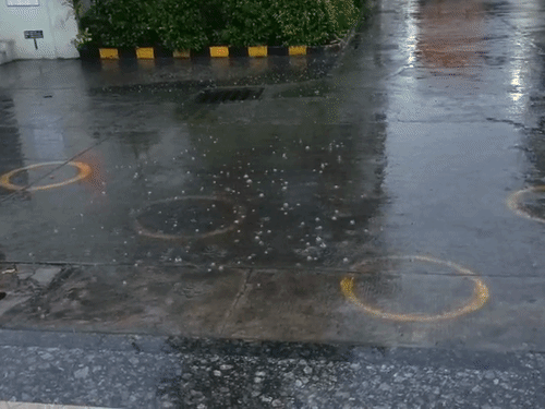 Dehradun and Udham Singh Nagar have been receiving rain since late night.