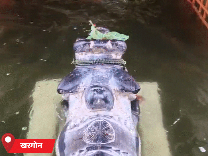 कुछ श्रद्धालुओं ने नंदी के पास फूल अर्पित किए।