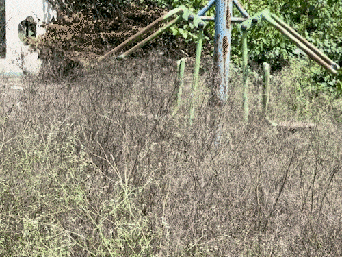 Varyam Singh mentioned that there were swings installed in the park built in the premises, but they have rusted.
