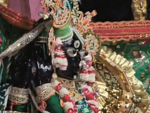 हरे रंग के वस्त्र धारण किए हैं, हरियाली तीज पर 8 लाख भक्त मथुरा पहुंचेंगे|उत्तरप्रदेश,Uttar Pradesh - Dainik Bhaskar