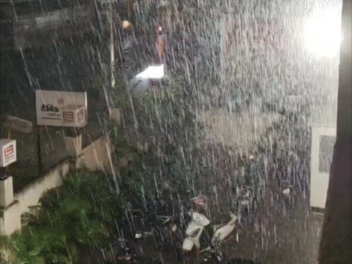 5 जिलों में हैवी रेन की चेतावनी, उत्तर बिहार में 19 अगस्त तक एक्टिव रहेगा मानसून|पटना,Patna - Dainik Bhaskar